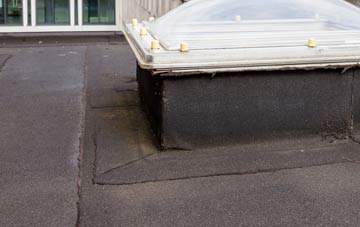 disadvantages of Ninemile Bar Or Crocketford flat roofs