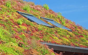 Ninemile Bar Or Crocketford living roof systems