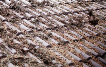 Ninemile Bar Or Crocketford roof cleaning companies