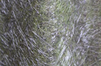 Ninemile Bar Or Crocketford fibreglass roof work