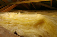 Ninemile Bar Or Crocketford pitch roof insulation
